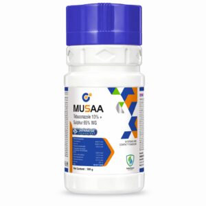 MUSAA