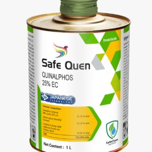 SAFE QUEN